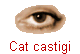 Cat castigi
